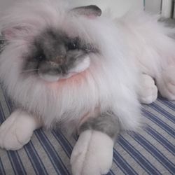 Cat Plushie Stuffed Animal