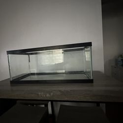 20 Gallon Fish Tank 