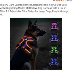 XL dog Harness With Light 