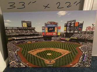 Citifield canvass/ wall art