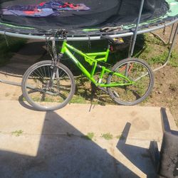 Mongoose Mountain Bike 