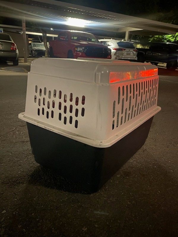Dog Cage