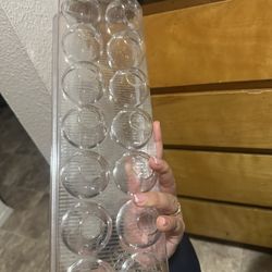 Egg Holder