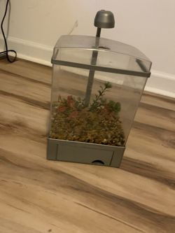 1,5 Gallon Aquarium