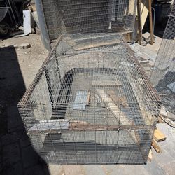 Large Avery Bird Cage