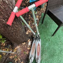 Razor Scooter 