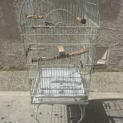 Bird Cage 