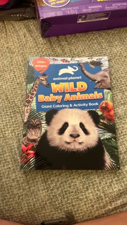 Animal coloring book