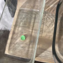 Assorted Glass Bakeware 