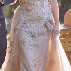 Mother Of The Bride Dress