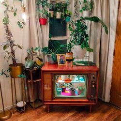 Mid Century Modern Restored Tv To Bar Or Greenhouse 