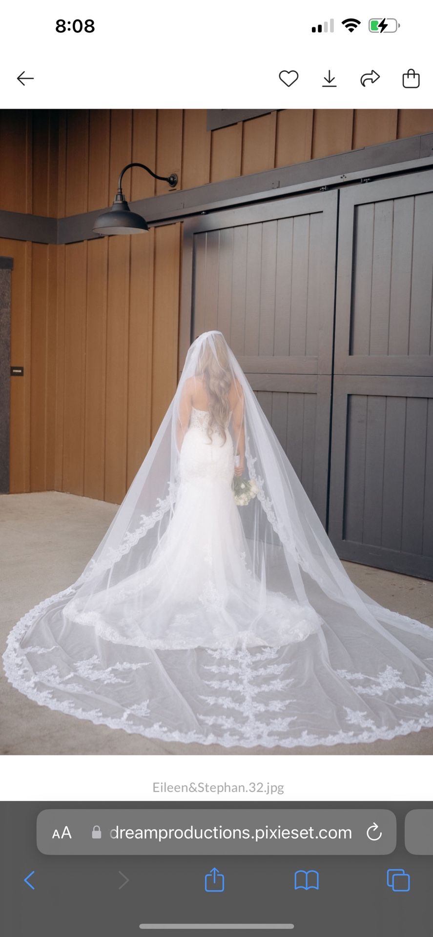 Cathedral veil