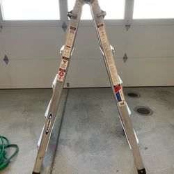 Extension Ladder