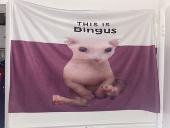 this is bingus