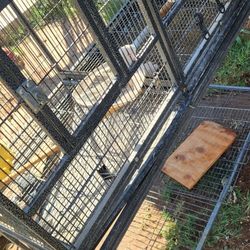 Bird Breeder Cage