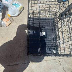 Dog Kennel 