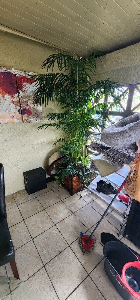 Tall fake plant