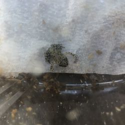 Reptile And Fish Supplies