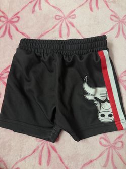chicago bulls shorts