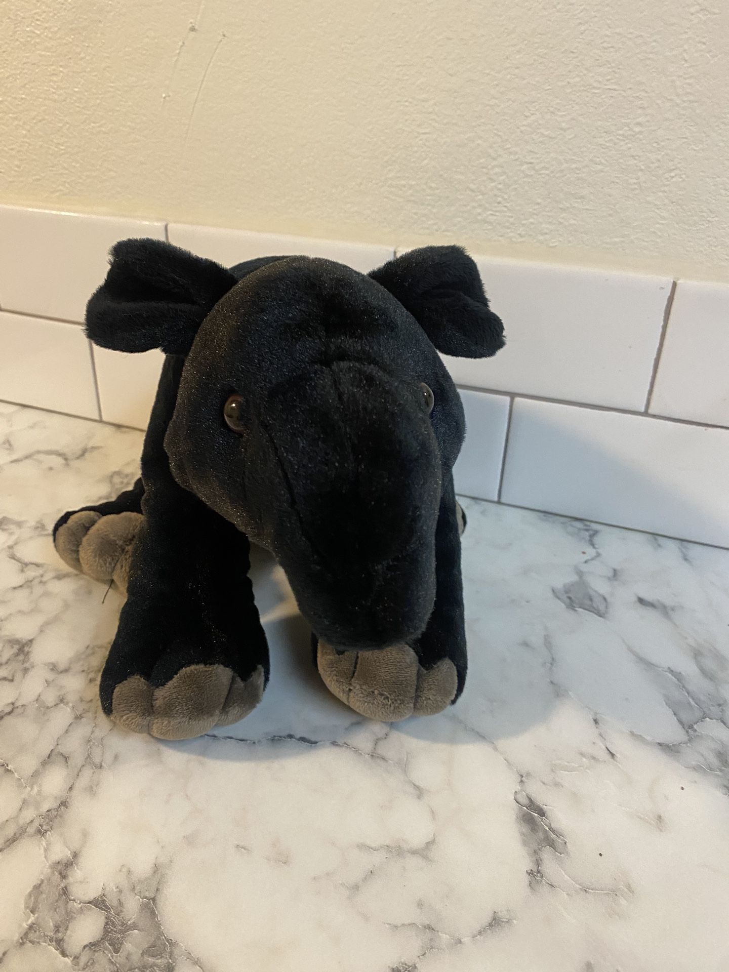Stuffed Animal