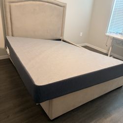 Bed & Box Spring