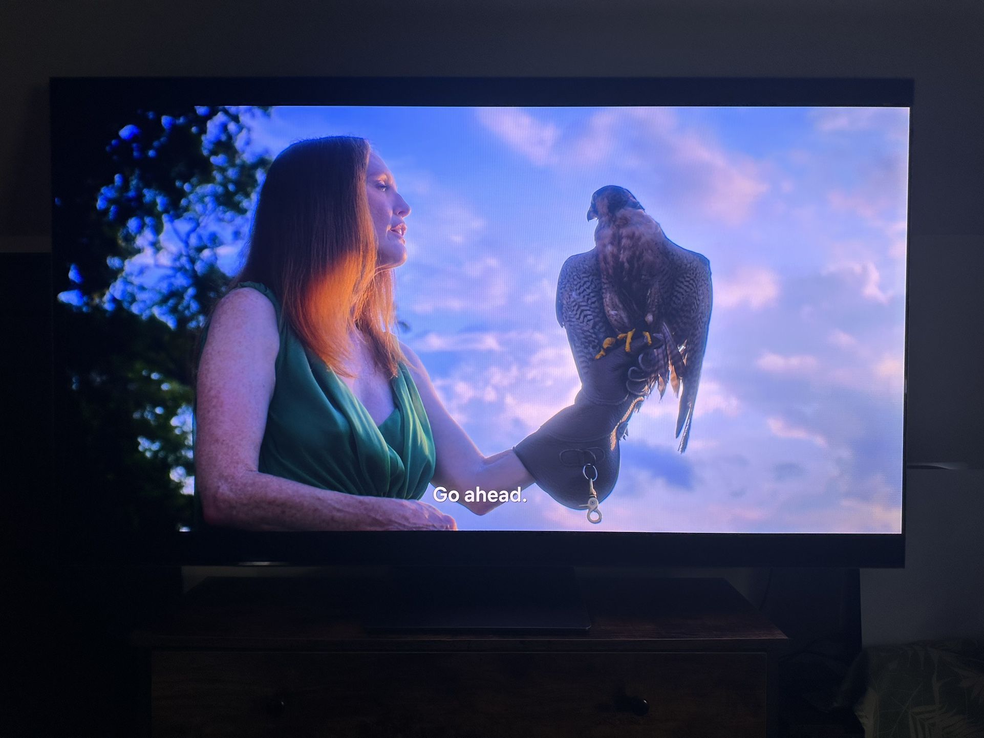 SAMSUNG 65-Inch Class OLED 4K S95B Series Quantum HDR in good condition