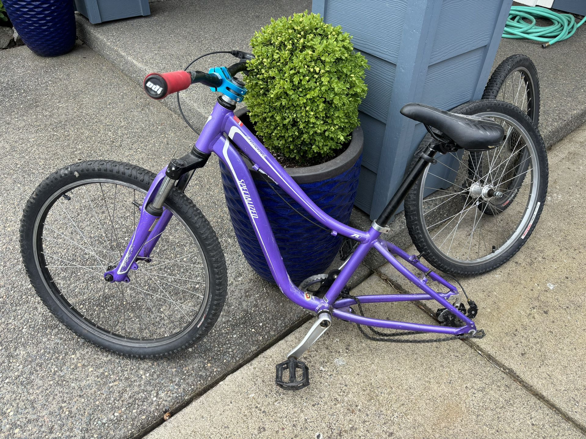 Specialized Girls Bike Frame And Bike Tires (Bike Parts)