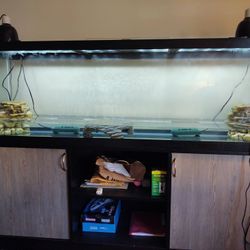 125 Gallon Tank