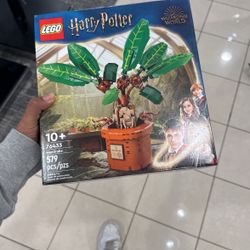 Mandrake 