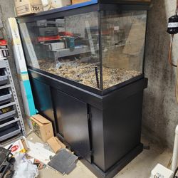 75 Gallon Aquarium