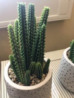 OU06003 One Artificial Succulents In Light Grey Ceramic Pots