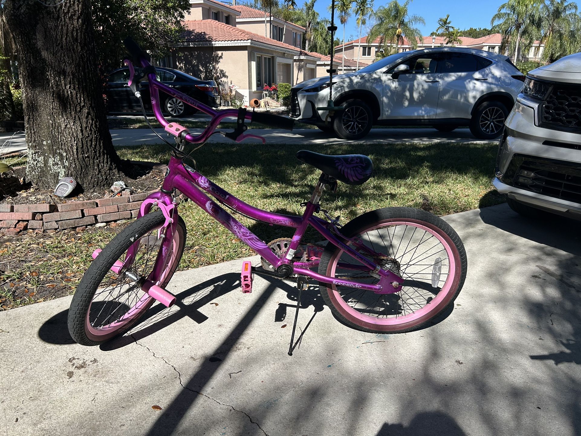 Girl Bike 20 Inch