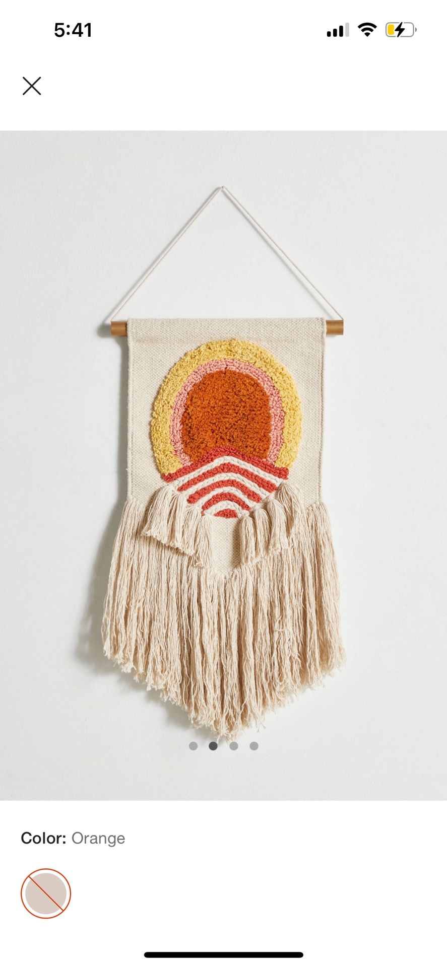 Urban Outfitters Boho Macrame Wall Hanging