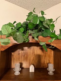 Green ivy