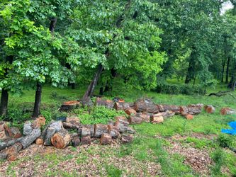 Free Firewood