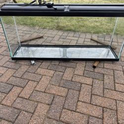 55 Gallon Fish tank