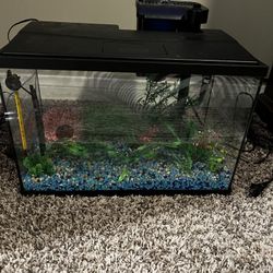 Fish Tank And Supplies 