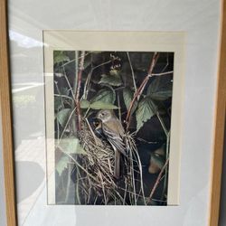 Bird Returning To Nest