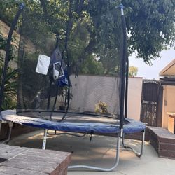 Medium Sized Trampoline