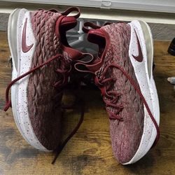 Nike LeBron 15 XV Low Red