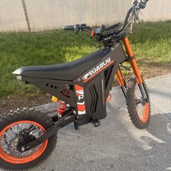 Pegasus Electric Dirt Bike 