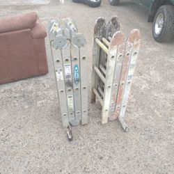 Werner Ladders 2