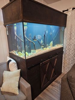 Custom 203 gallon Aquarium