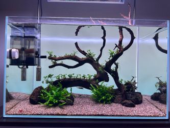 UNS 60U Tank Setup for Sale and stand