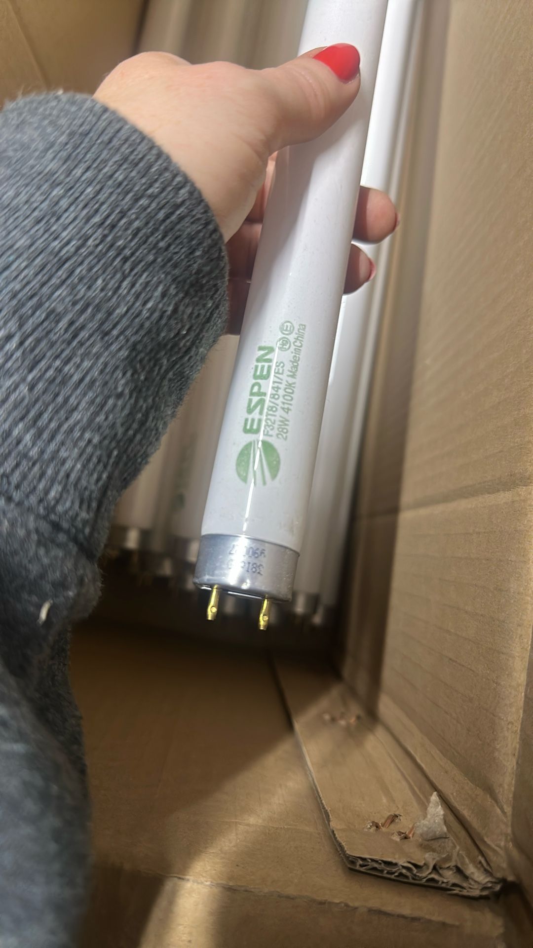 4ft fluroscent Bulbs