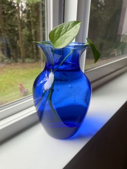 Small Vase With pothos