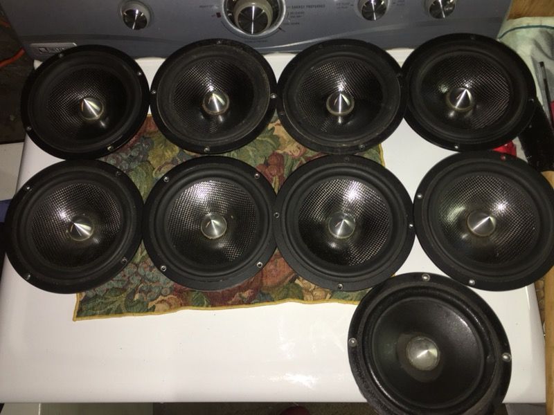 Ascendant Audio Poly 6.5 mids