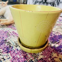 Ceramic plant pot