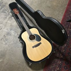 Beginner Guitar and Case