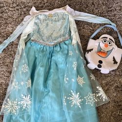 Elsa Costume With Bag